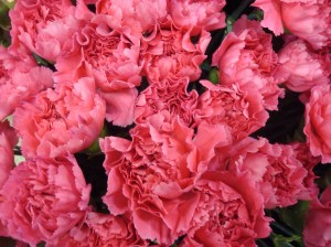 blog-photo