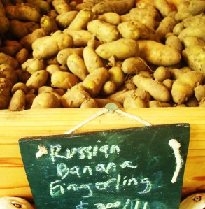 connecticut 137 connecticut 137